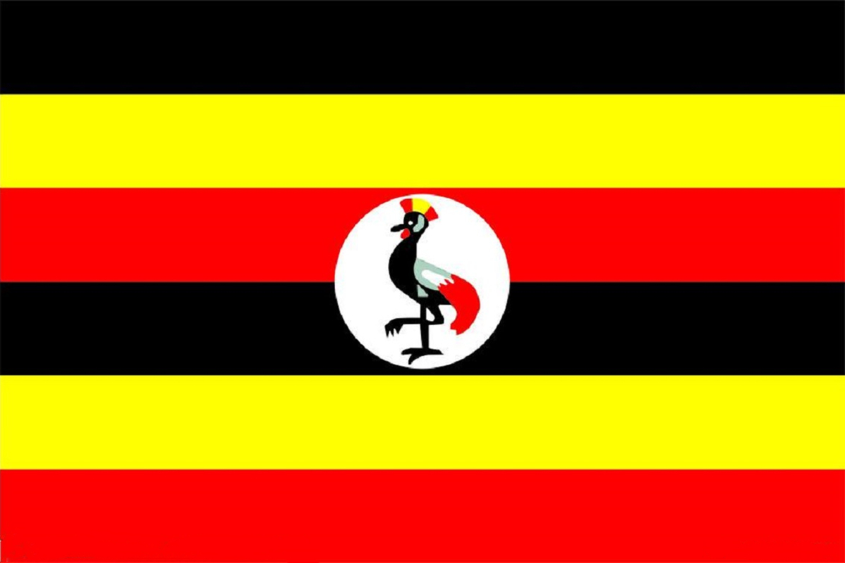 projet angola